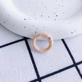 Ronde karabijnsluiting in parelmoer roze voor doe-het-zelf sieraden en sleutelhangers - Iristerend Roze (20mm)