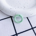 Muntgroene glanzende ronde veerring gesp voor DIY sieraden accessoires en sleutelhangers - Muntgroen (20mm)