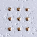 Close-up of golden five-petal flower bead spacers in a 3x3 grid for DIY jewelry making - Style 2 (2#) / Small / 14K Gold