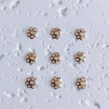 Macro shot of nine 18K gold-plated flower spacer beads for DIY jewelry making - Style 7 (7#)