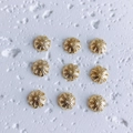 Detailed view of nine 18K gold-plated hollow petal bead caps for DIY jewelry making - Style 10 (10#)