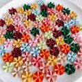 Surtido de pétalos de flores y cuentas de estrellas de acrílico para joyas DIY - Estilo Mixto 2