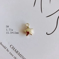 Makroansicht eines 15,5x12mm vergoldeten Sternanhängers für DIY Schmuckzubehör - Mittlerer Goldener Stern Stil (5#)