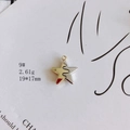Detailaufnahme eines zweifarbigen Sternanhängers in Gold und Silber, Maße 19x17mm - Zweifarbiger Stern Stil (9#)