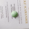 Macro shot of light green striped round charms for DIY shoe accessories and phone cases - Pale Green