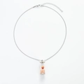 Dettaglio della collana a catena d'argento con fiori secchi arancioni in boccetta - Acciaio Inox Rosa