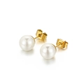 Elegante vergoldete Edelstahl-Stecker mit klassischen weißen runden Perlen für Damen - Schmetterlingsverschluss / 8mm Perle / Gold