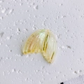 Accesorio de cola de sirena en resina amarilla iridiscente con brillo degradado - Amarillo Iridiscente (21#)