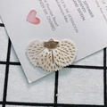 Macro shot of fan-shaped beige lace accessory with golden metal clasp for DIY jewelry - 6# Cream White