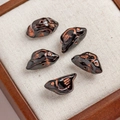 Set of five glossy black Czech glass bird beads with bronze-colored hand-painted details - 1 Piece / Black (30#)