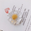 Macro di ciondoli a margherita trasparenti con dettagli in foglia d'oro per gioielli DIY - Margherita Trasparente