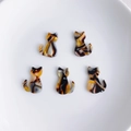 Lot de 5 breloques chat en acétate écaille de tortue pour création de bijoux et boucles - Motif Écaille Foncé (14#)