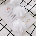 Detailed close-up of 3D white chiffon organza flower petals for DIY clothing accessories - White (4#)