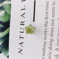 DIY minimalistischer hellgrüner Blumenanhänger aus Harz mit Matt-Finish für Schmuck - Hellgrün (10#)