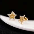 Vista macro de pendientes de estrella dorados con textura solar y borde de circonitas - Pendientes de Botón de Estrella (ED14452)