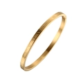 Brushed gold stainless steel bangle featuring engraved Roman numerals on the side - 4mm Gold