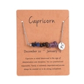 Silver Capricorn necklace featuring natural irregular stones and zodiac charm on card - Capricorn