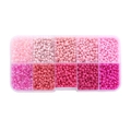 Kit de perles roses DIY avec 10 compartiments pour création de bracelets et colliers - Pink Seed Beads Box Only / 3mm (13g Par Grille, 10 Grilles Par Boîte)
