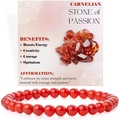 Carnelian 6mm natural stone bead bracelet for energy and creativity on aesthetic card - Carnelian Style