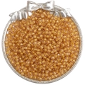 Perle di vetro sfaccettate color champagne per gioielli fai-da-te su vassoio argento - Confezione da 10g / Marrone giallastro