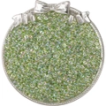 Translucent light green glass seed beads with rainbow luster in a decorative silver tray - 10g/Pack (2x4mm) / Grass Green
