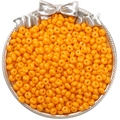 Perles de rocaille orange vif de 5mm disposées dans un plateau argenté avec nœud décoratif - 5mm Trou 1mm 10g/Paquet Environ 60Pcs / Orange