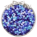 Perles de rocaille 5mm bleu et violet dans un plateau pour bijoux faits main DIY - 10g/Paquet (env. 60 pièces) / Série Bleue
