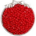Vibrant red 6x3mm wheel-shaped glass beads for DIY jewelry making in a silver tray - Style 36 (10g/Pack) / 6x3mm (Approx. 60 Pcs) / Red