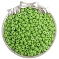 Glossy bright green 6x3mm glass seed beads for DIY jewelry making in silver tray - Grass Green