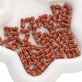 Handmade bone-shaped ceramic beads in reddish-brown glaze for DIY jewelry making - Red