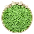 Vibrant bright green glass seed beads for DIY jewelry making in decorative gold bowl - Green