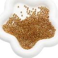 Handmade 4mm amber glass seed beads in a white petal tray for DIY jewelry making - 4mm / 10g/Pack (Approx. 160 pcs) / Golden Yellow