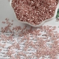 2mm lichtroze zilvergevoerde glazen staafkralen voor DIY sieraden en naaien - H-Buis 2mm (15g/Verpakking, Ca. 700 Stuks) / Lichtroze