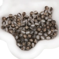 Taupe 8mm resin beads with silver glitter ring for DIY handmade jewelry crafting - Round Beads / 8mm (10 Pieces/Pack) / Earth Brown