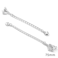 Lot de deux chaînes d'extension argentées de 75mm avec fermoir coeur pour bijoux DIY - Style Cœur Lisse / 75mm (1 Pièce/Paquet) / Argent Épais