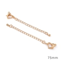 Chaînes d'extension 75mm plaquées or 18K pour colliers avec fermoir et breloque goutte - Style Goutte Unique / 75mm (1 Pièce/Paquet) / Plaqué Or 18K