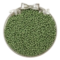 Metallic green glass seed beads for DIY jewelry displayed in a silver bow tray - Silver Grass Green
