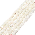 Natural irregular cream white shell chips beads for DIY jewelry making and necklaces - Approx 7-8mm (38cm/Strand) / White