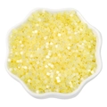 Pale yellow 2.5mm cat-eye seed beads for DIY jewelry making in a flower bowl - 2.5mm (10g/Pack) / Lemon Yellow