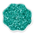 Teal cat-eye 2.5mm glass seed beads for DIY jewelry making in a white flower dish - 2.5mm (10g/Pack) / Green