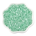 Mint green 2.5mm cat eye glass seed beads for DIY jewelry making in a petal bowl - 2.5mm (10g/Pack) / Light Green