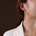 Elegant rose gold waterdrop long earrings made of stainless steel for women - Rose Gold