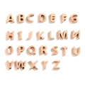 Rose gold polished stainless steel 26 English letter charms set for DIY jewelry - Letter A / Rose Gold