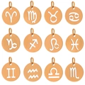 Set of 12 rose gold hollow zodiac charms with circular constellation symbols for DIY jewelry - Aries / Rose Gold