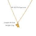 Detailed view of Capricorn zodiac pendant necklace in 18K gold plated finish with specs - Capricorn (HF-X2379-Capricorn)