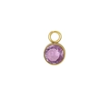 Macro shot of a purple birthstone pendant with a gold plated setting for jewelry making - June / Gold