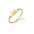 Polished gold-plated stainless steel signet ring with oval face and mirror reflection - US 7 / Gold