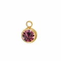 Gold plated stainless steel pendant with round purple birthstone for DIY jewelry - February Stone (Gold) / Gold