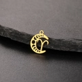 Macro detail of Aries zodiac sign engraved on a 18K gold plated moon pendant - Gold-Aries