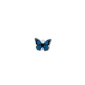Blue butterfly stainless steel pendant with detailed black enamel patterns for jewelry DIY - Steel-Butterfly(Blue)
